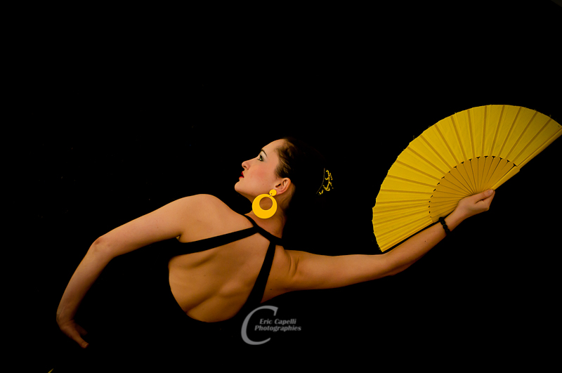 flamenco !
